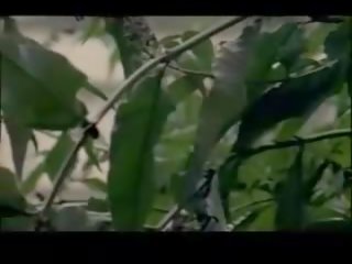 Inviting fågelunge körd i röv i tappning smutsiga klämma
